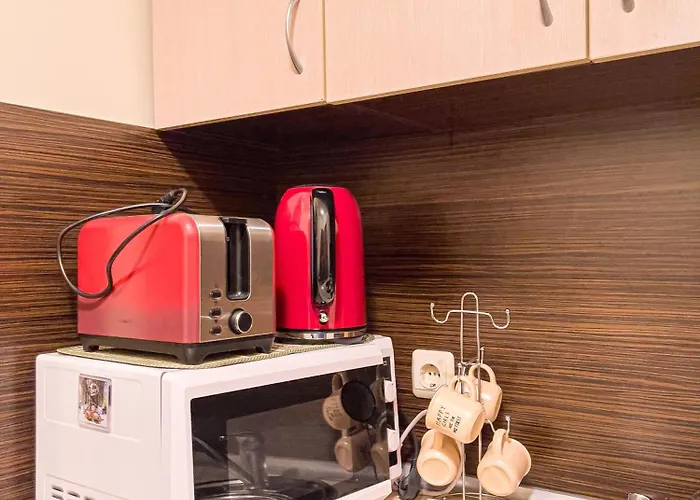 公寓式酒店 Complex Amphora Palace 金沙